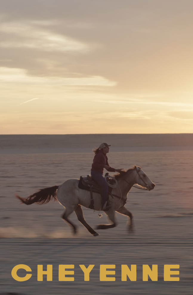 CHEYENNE